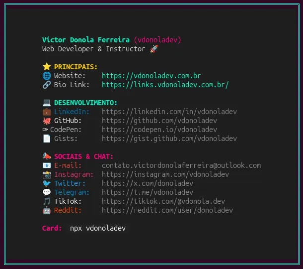 Interface final do vdonoladev rodando no terminal